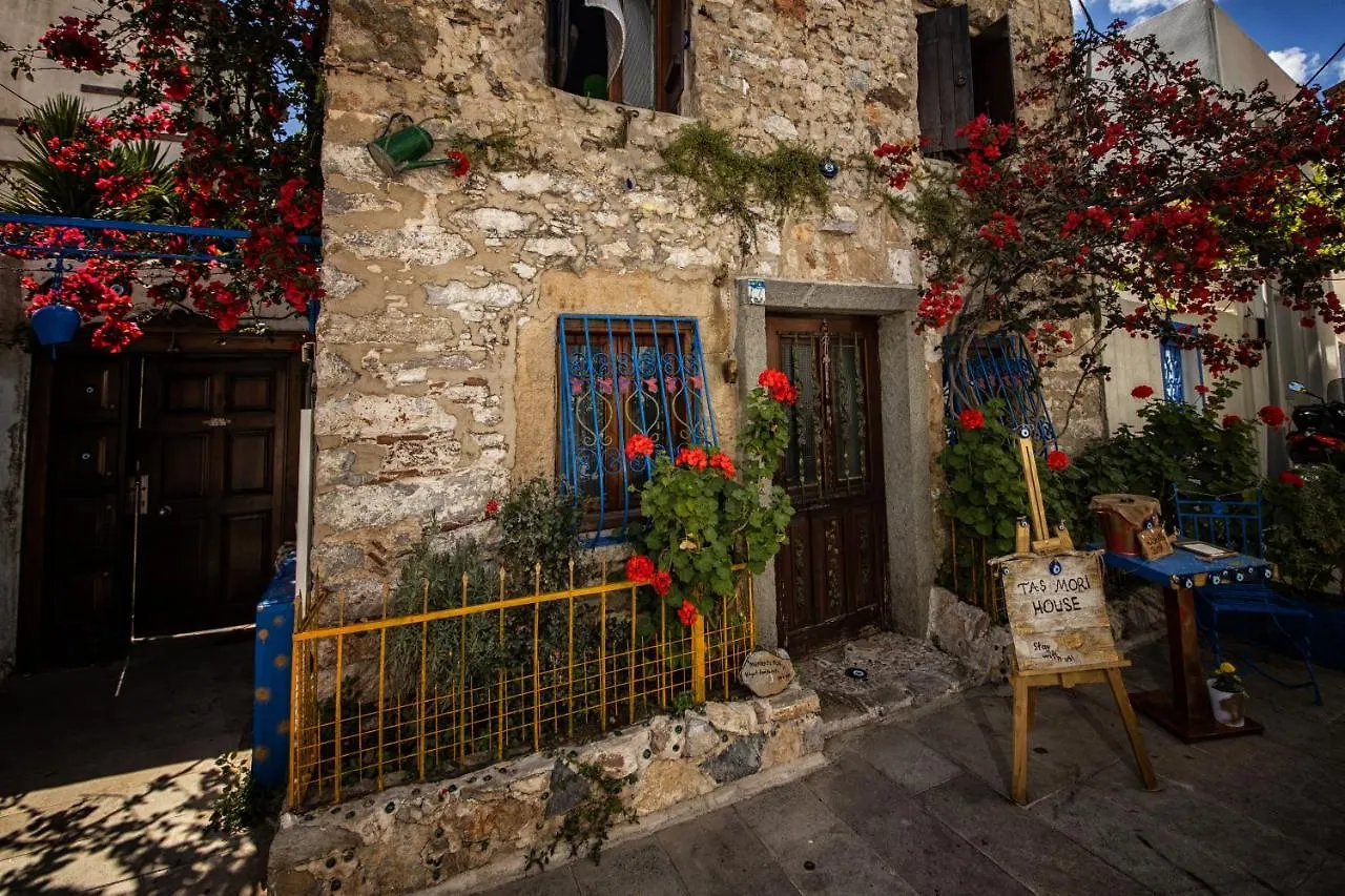 Tas Mori Butik Otel Бодрум 2*,
